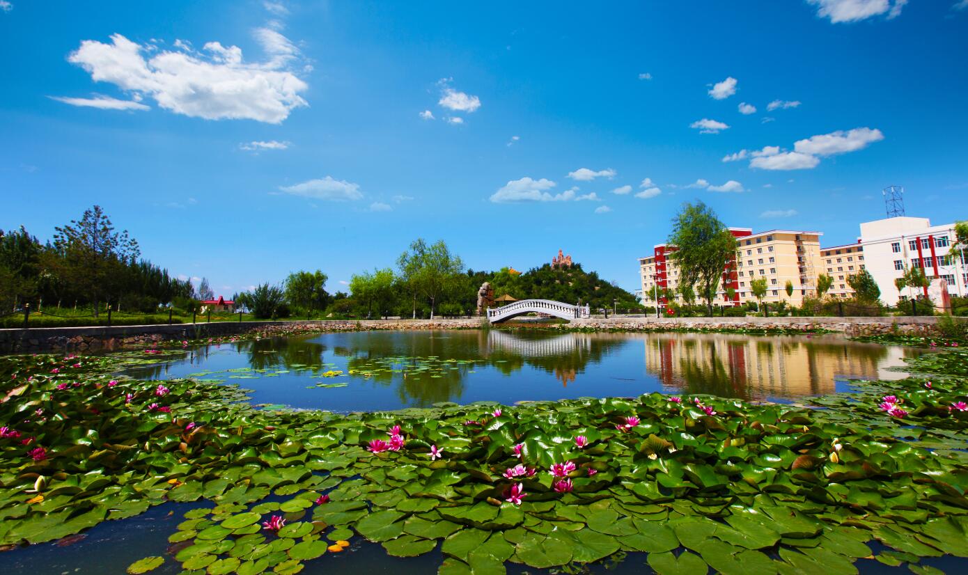 黑龙江省200-300分的公办专科学院,哈尔滨华德学院和东方学院哪个好