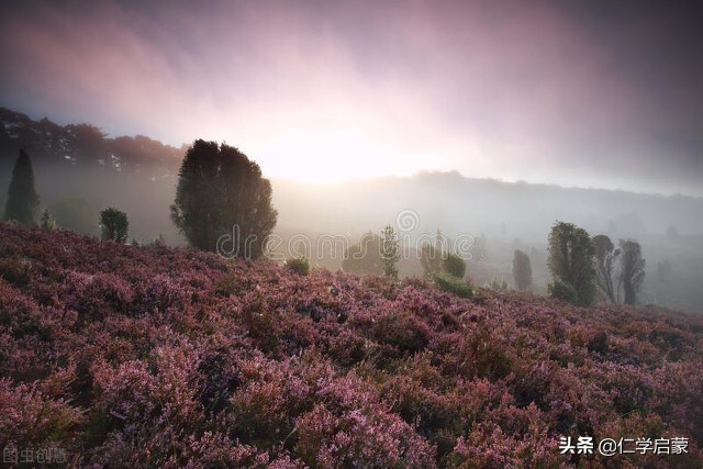 庶民为本：利于庶民是春秋政治与仁学的支点（14.9）