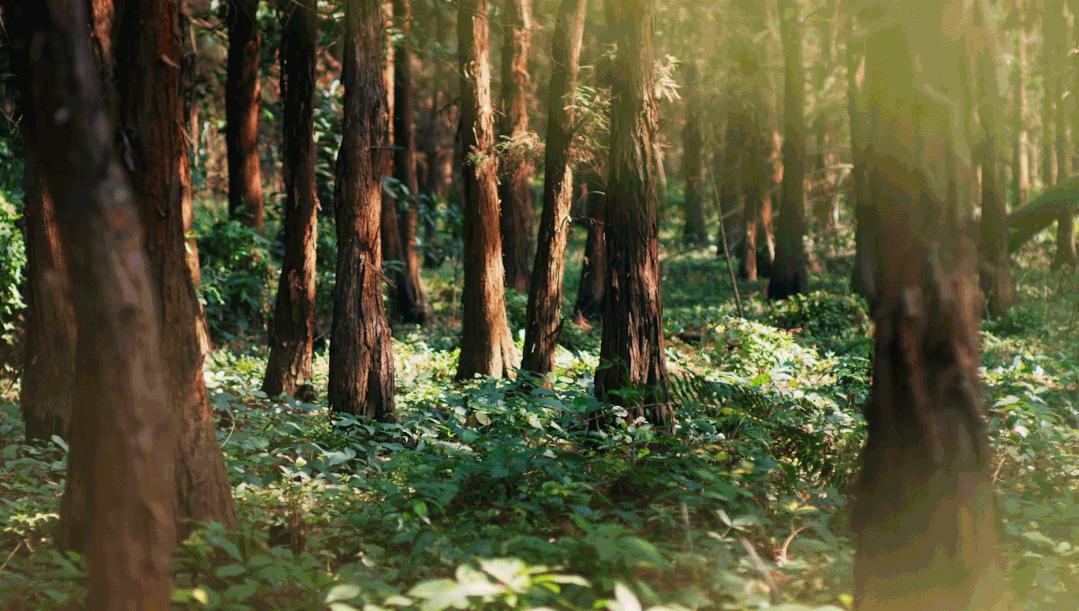 你好,我叫珠海,请收下我2021版新名片,带你了解新的珠海!