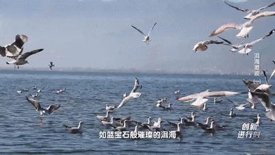 杩欐槸浣犳兂璞′腑鐨勬幢娴峰悧,浣犵湅鍒扮殑娲辨捣