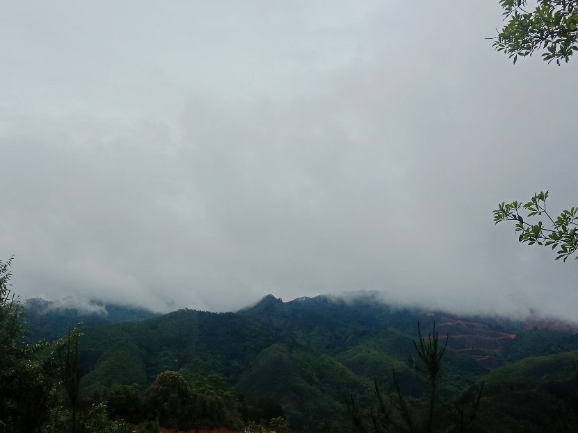 中国人民武装警察部队森林消防,武装森林警察部队