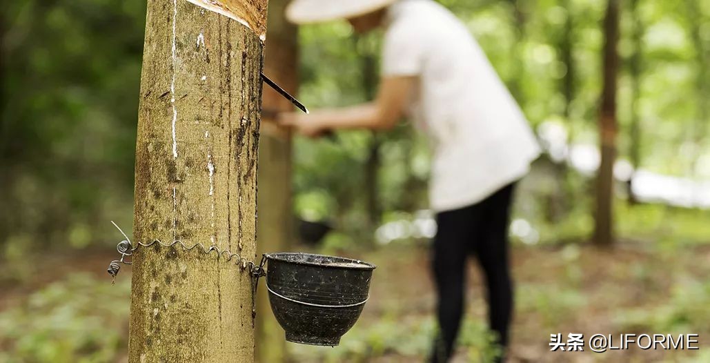 liforme土豪瑜伽垫,liforme瑜伽垫视频