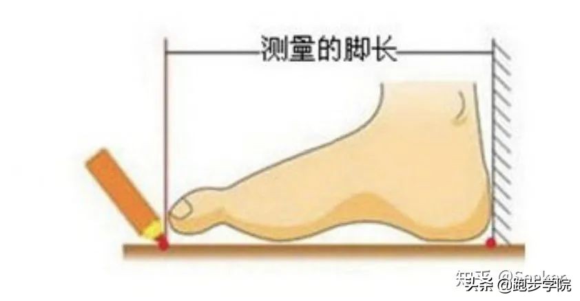 经常跑半马买什么跑鞋好,跑马新手推荐跑鞋
