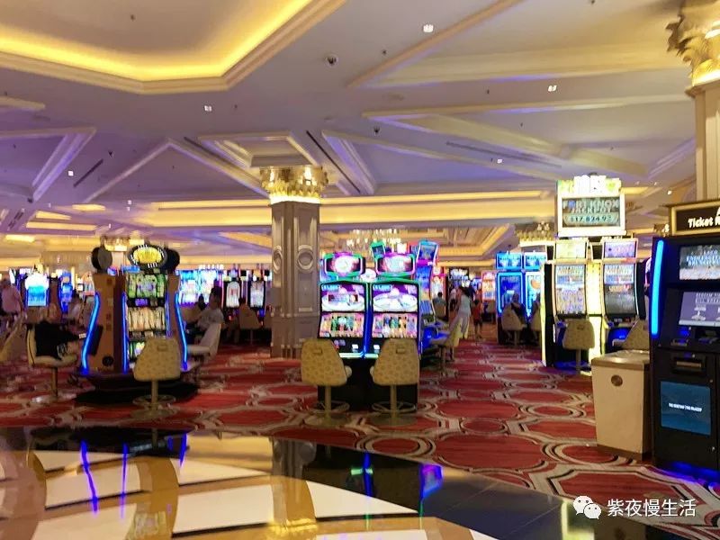 说到名气，非你莫属——LAS威尼斯人