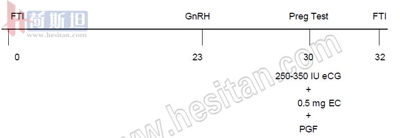 繁育母牛一年的利润,母牛如何做到一年一个犊