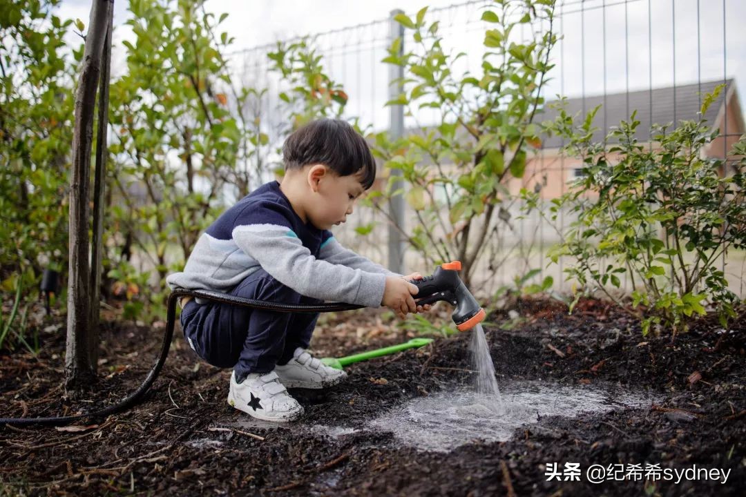 私校、学区房、补习班：所有华人妈妈都逃不开的三件套