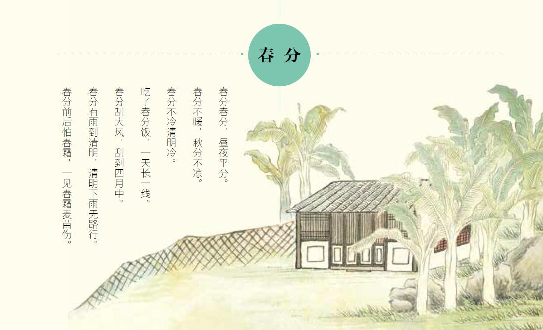 吹面不寒杨柳风中的寒指的是什么,吹面不寒杨柳风的杨柳风是什么