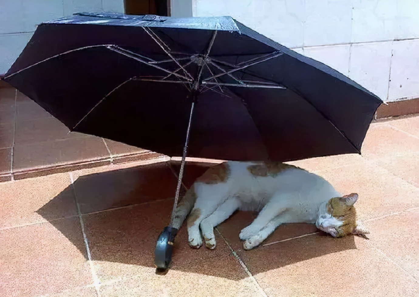 一招教你彻底祛斑,轻松祛斑先养肝