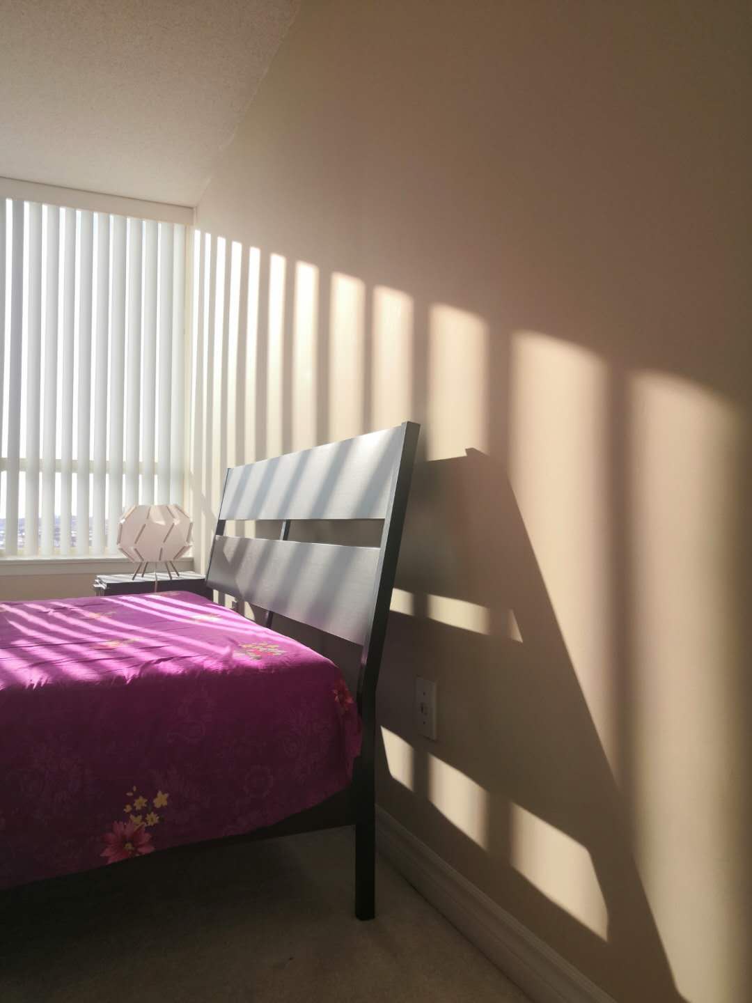 我的间隔年，在疫情期间被困异国他乡后，发生了过山车的转变