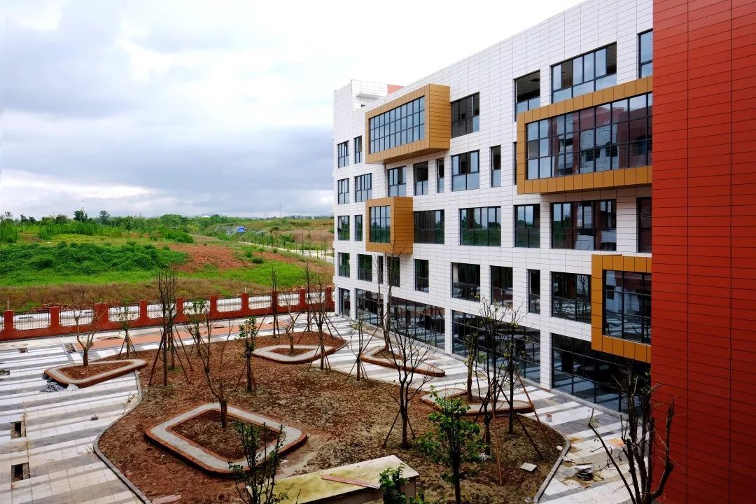 锐理：新川的“后劲”有多大？