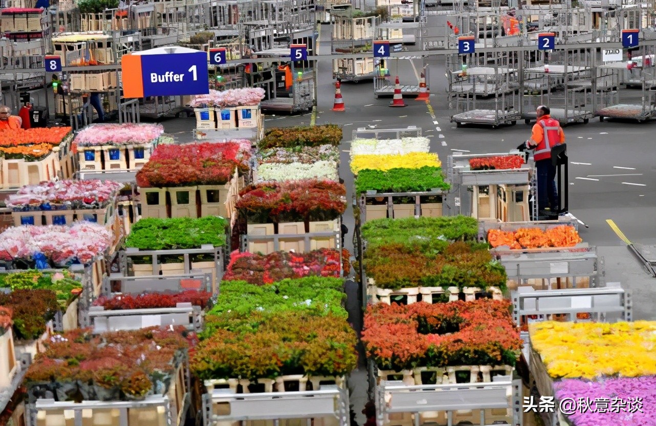 荷兰首都阿姆斯特丹什么出名,荷兰首都阿姆斯特丹街头漫步