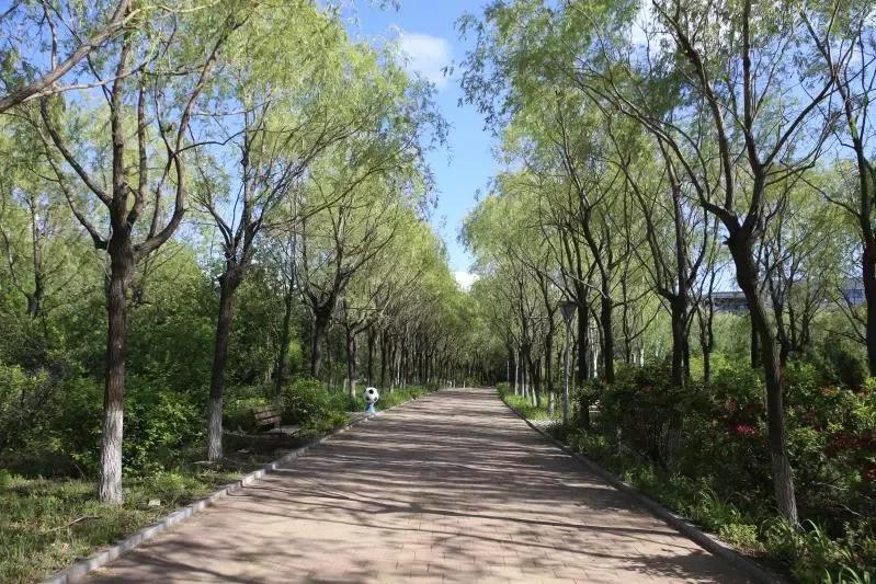 辽宁省普通高等院校（二十五）沈阳工程学院