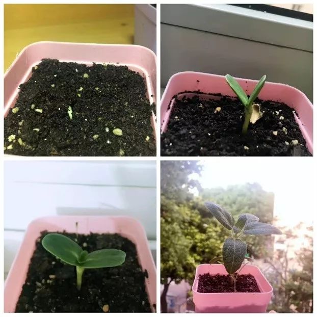 爆款基金频出哪只基金更值得投资,未来5年最适合投资的基金