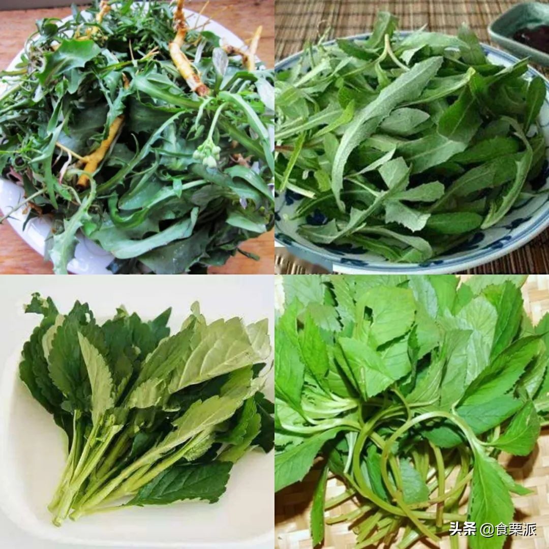 蔬菜营养排行榜,看看你爱吃的上榜了没