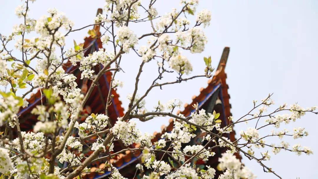 保山有魅力的地方,云南保山有多迷人