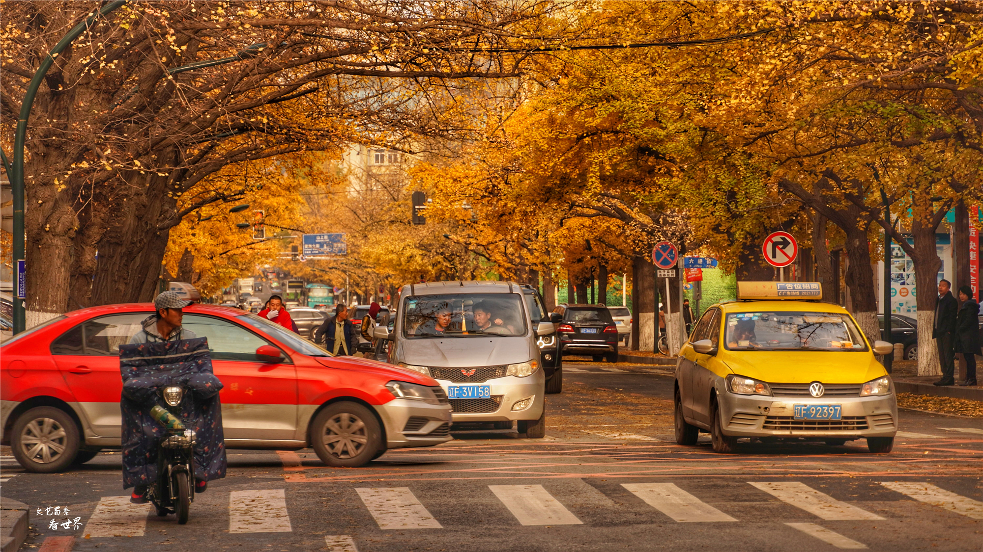 东北十佳宜居城市简介,东北最宜居的省