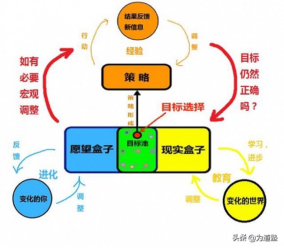 各个巨星评价李小龙,李小龙话题