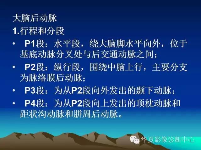 小脑血管解剖分段,脑血管影像解剖讲解