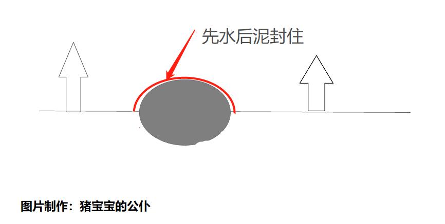 科学养猪猪粪处理,养猪猪粪沼气池处理流程