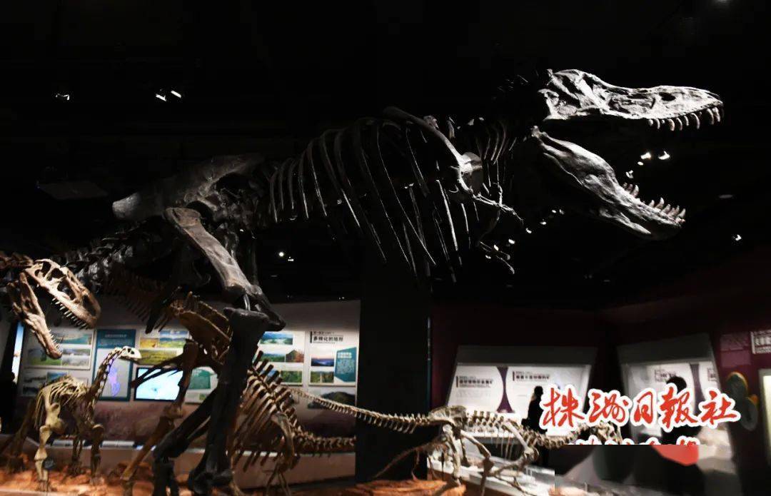 五一长假去哪儿玩又省钱,五一去哪儿这份攻略请查收