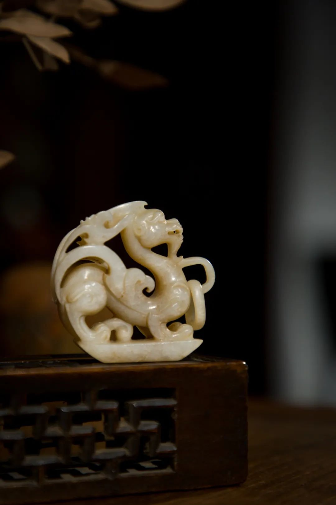 什么是长物志,何为长寿命