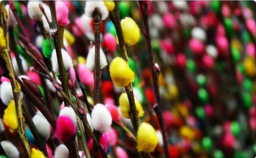 花艺插花常见花名有哪些,鲜花插花的技巧有哪些