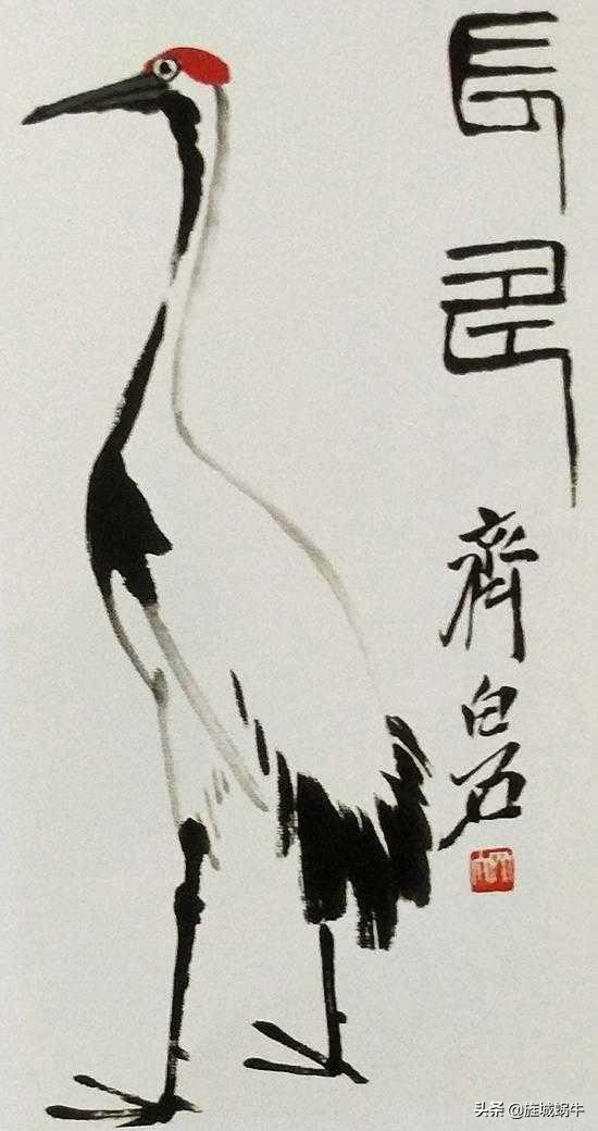 一学就会的禽鸟画法书,禽鸟的画法大全图解