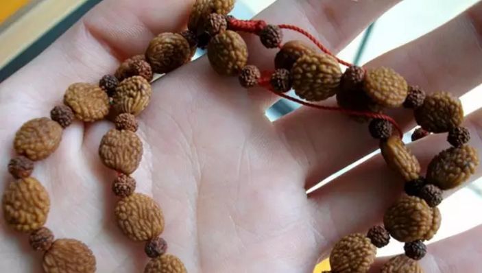 菩提手串大全图解,菩提手串的种类图解