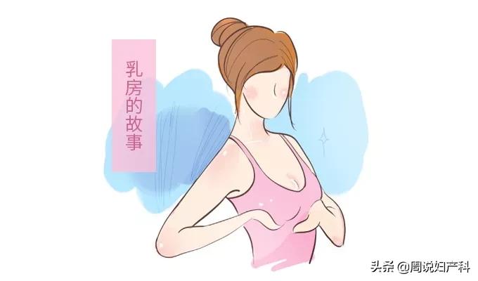 女神们看过来，手把手教你看懂「乳腺检查」报告