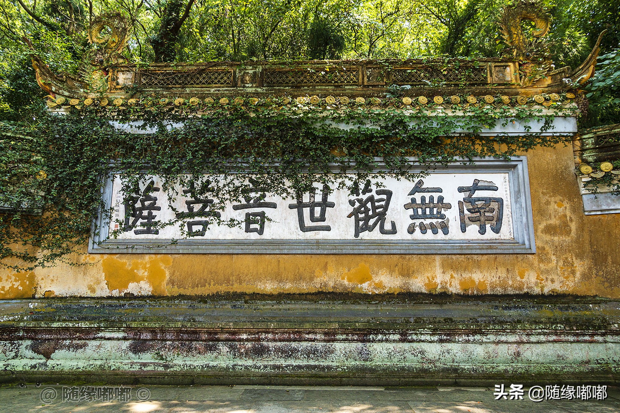 普陀山拜观音是先上香还是先许愿,普陀山叩头跪拜礼仪