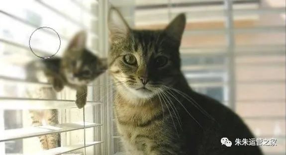 朱朱运营之家:学习PS工具箱中的模糊/锐化/涂抹工具