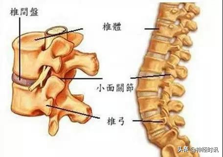 病理脚麻的最快恢复方法,脚麻诊断思路