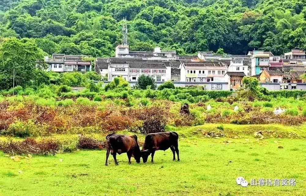 去长白山滑雪,去长白山还是去哈尔滨好