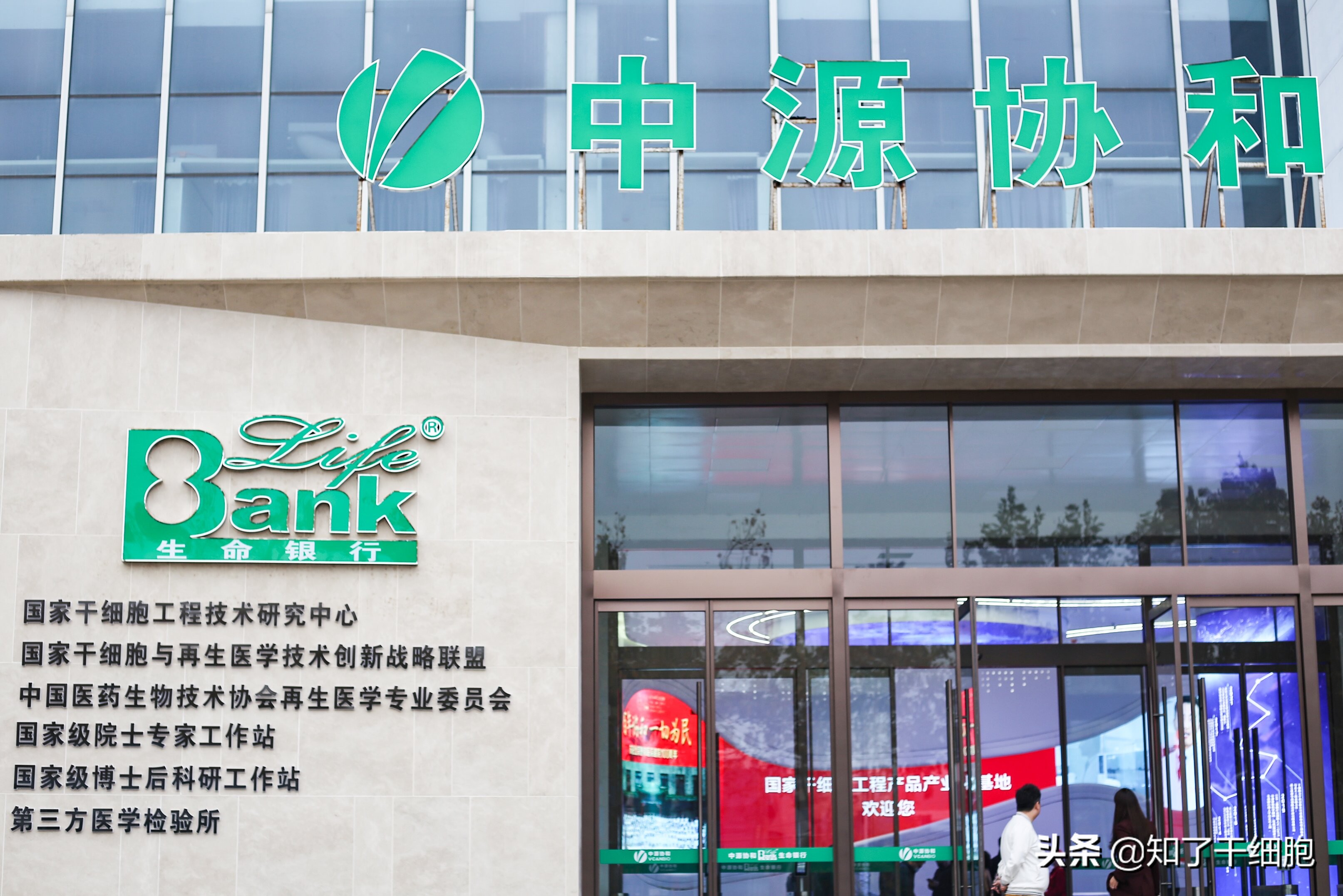 中源协和干细胞操作,中源协和干细胞