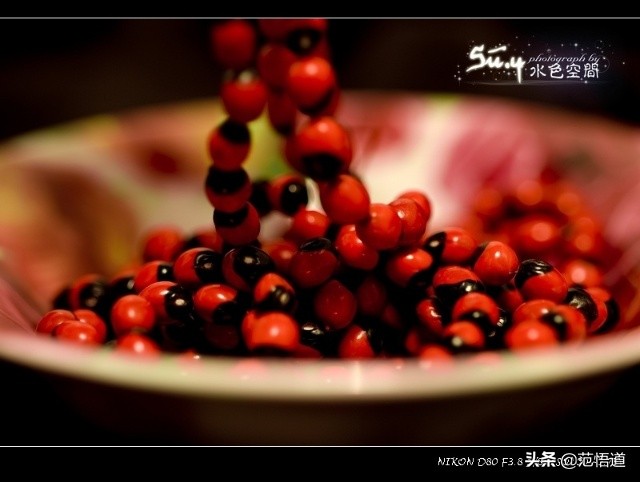 一颗红豆寄相思文案,一颗红豆寄相思动画