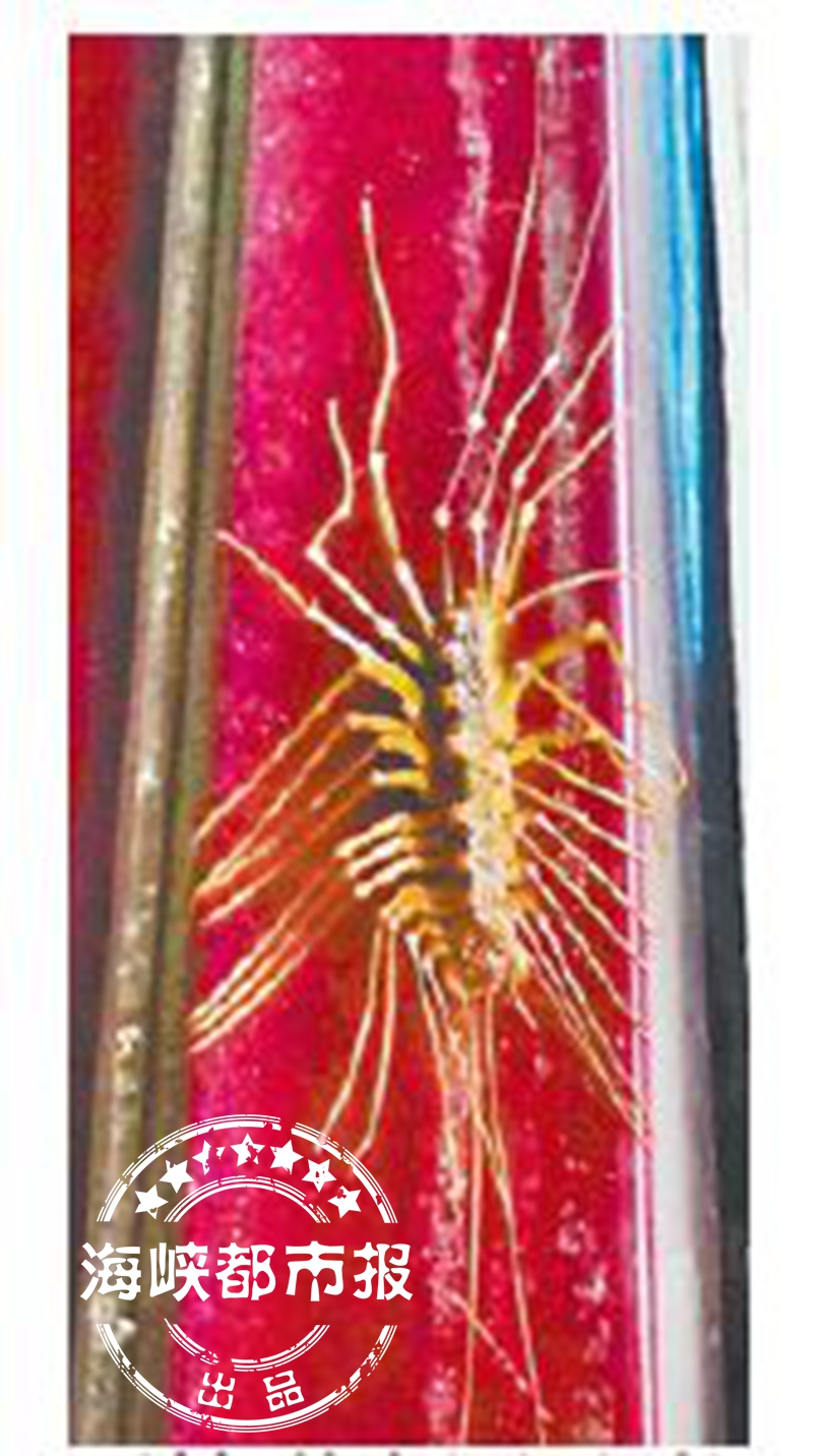 被蜈蚣咬伤正确的处理方法是什么,被蜈蚣咬伤预兆