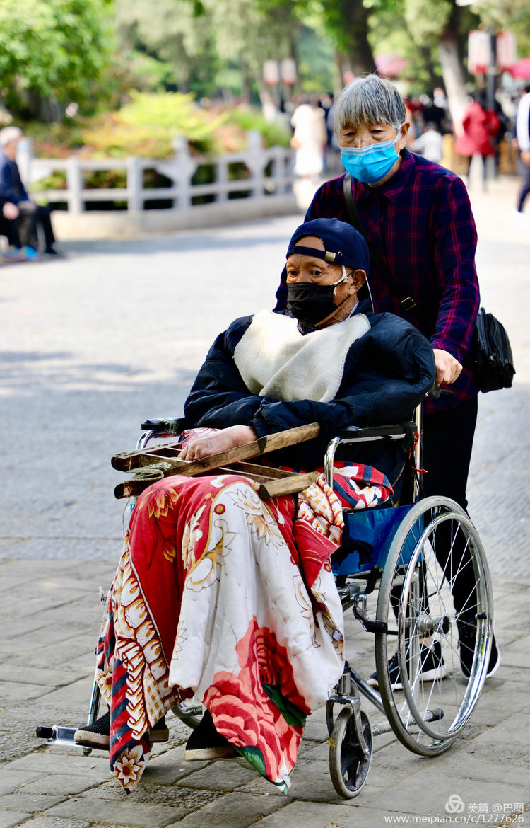 看洛阳牡丹花卉节,洛阳古都牡丹花展