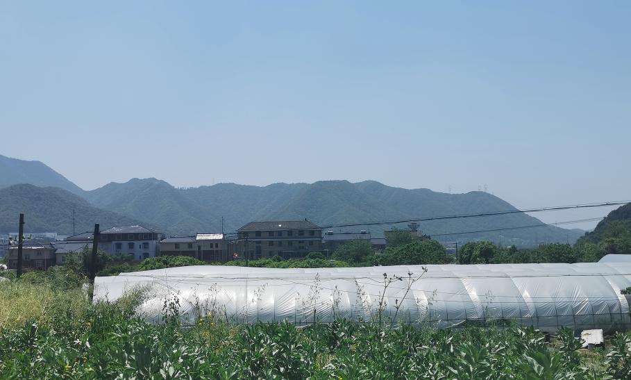 单价1.55万,银湖又一“门槛福利”来袭|房叔跑盘No.63