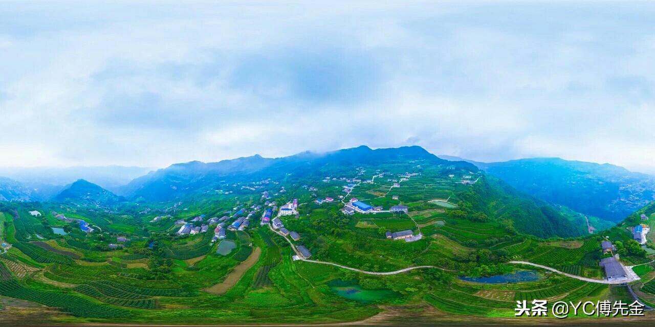 秭归沙镇溪茶叶,宜昌秭归沙镇溪