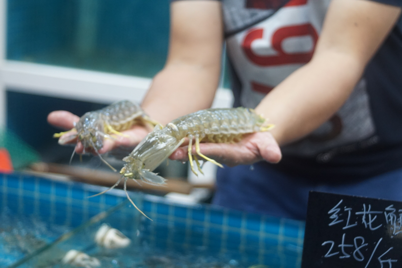来来海鲜,旧店迁新址,老板直说我们家的菜都好吃,来过都想再来