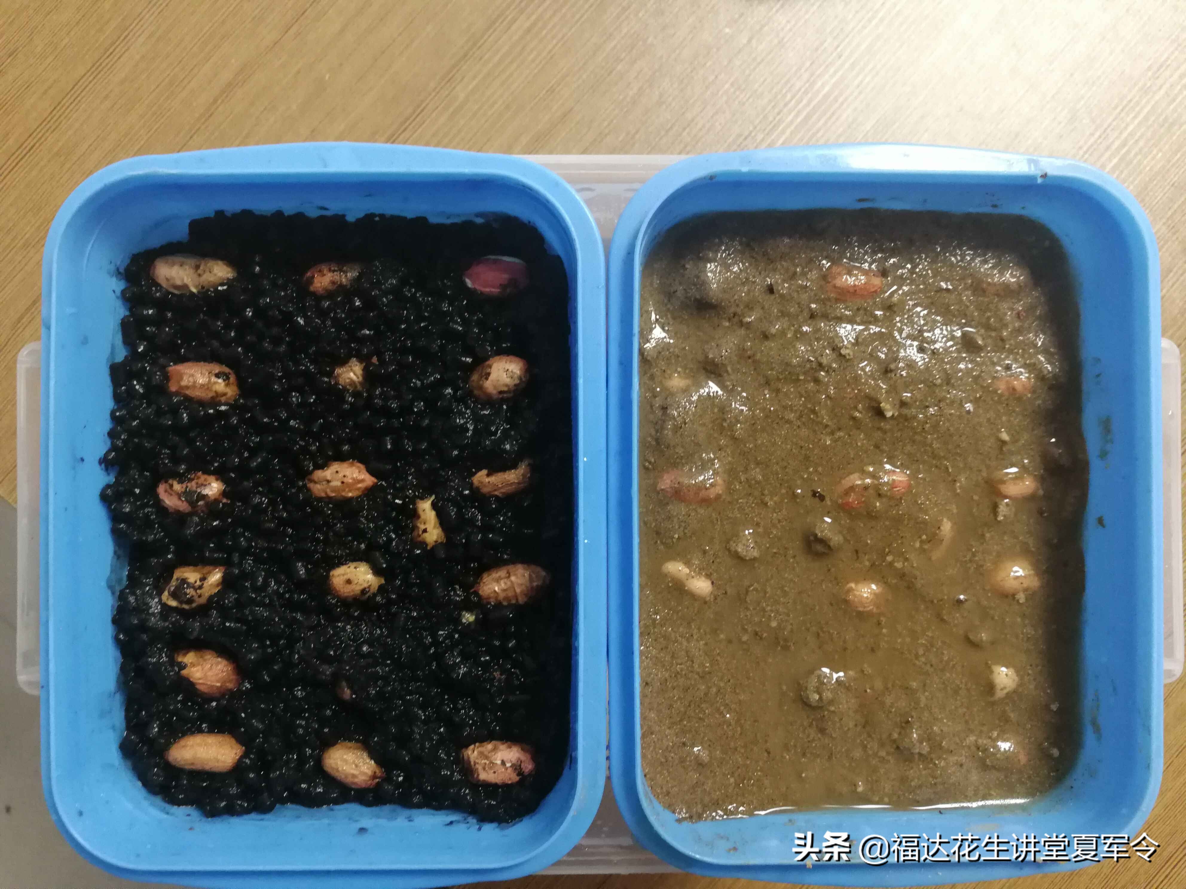 花生高产种植与管理,花生壮苗