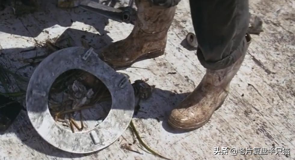 阿甘正传告诉了我们一个什么道理,阿甘正传人生观深度解析