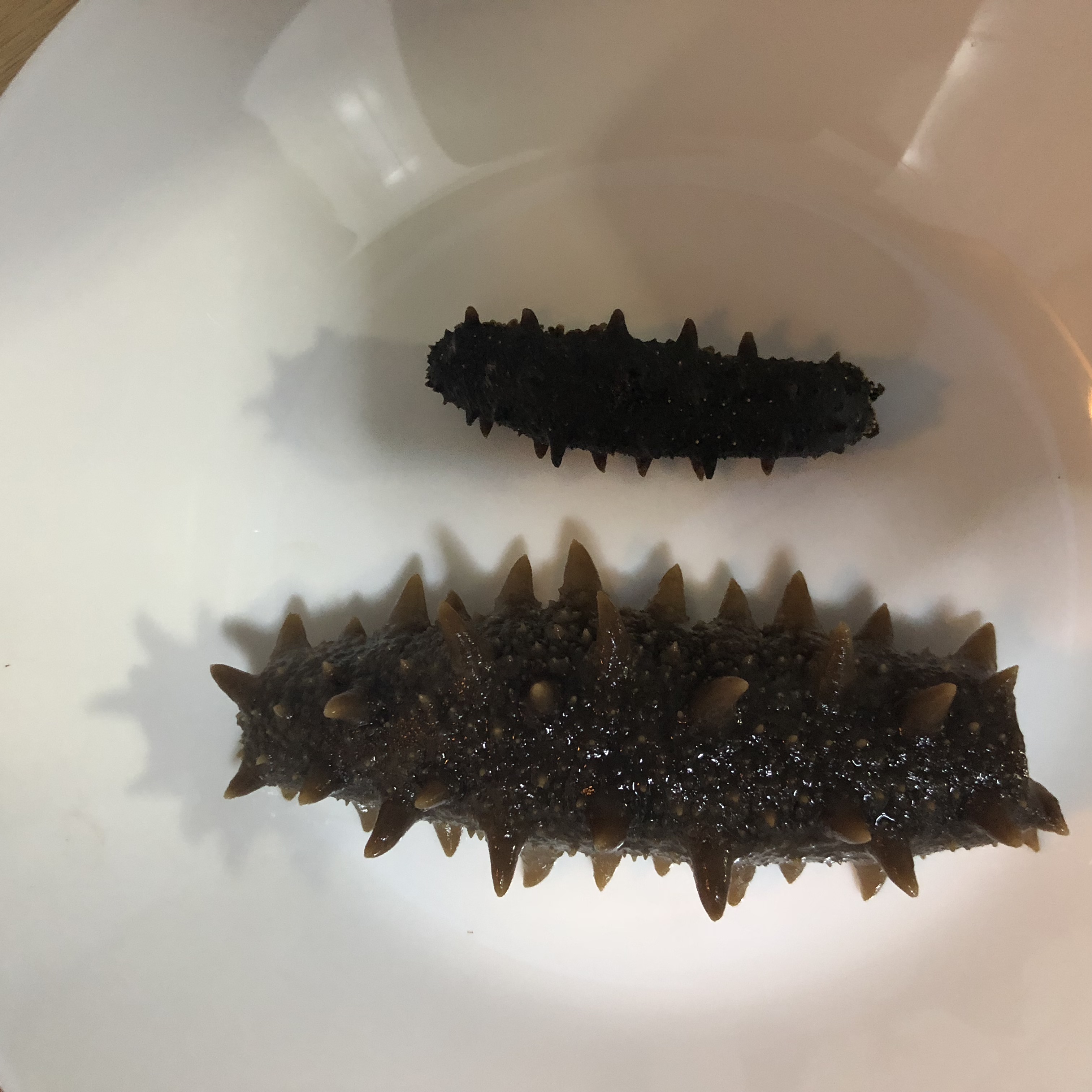 海参的正确方法与注意事项,过年买海鲜海参怎么选