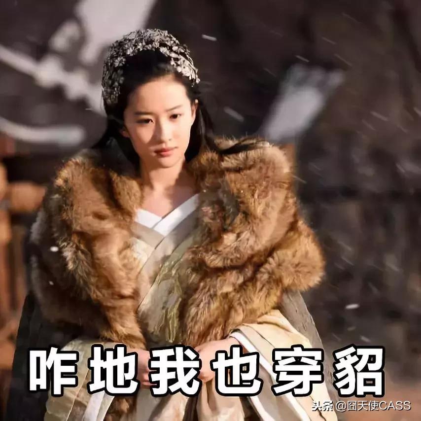 东北都有貂吗,在东北没有雪地靴不行吗