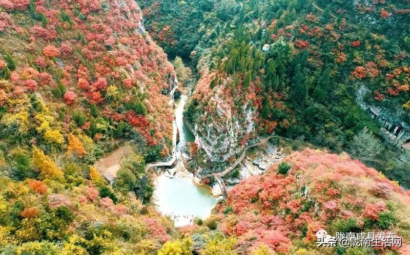 我叫成县，这是我2019年的自拍照