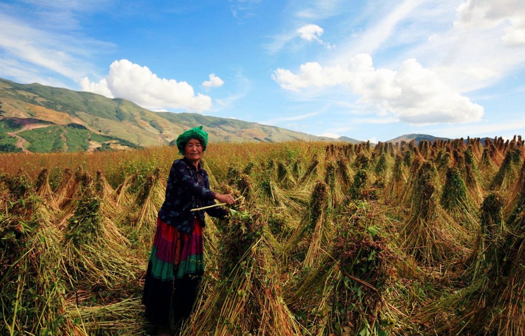 国际旅游摄影推荐,大凉山摄影攻略