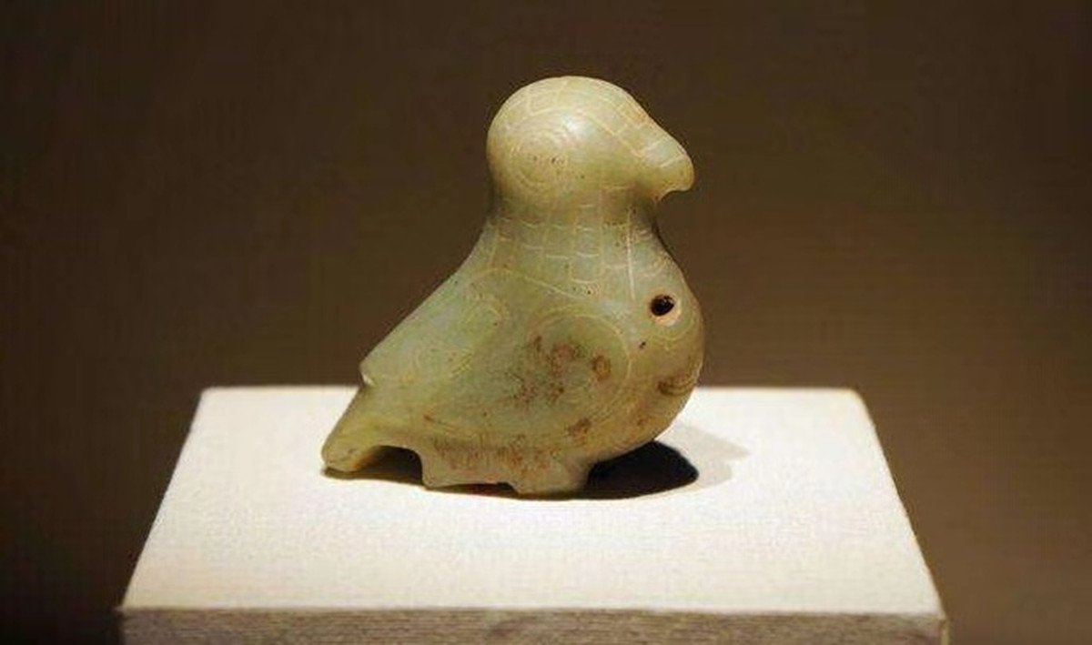 鸽子具有哪些个性和象征意义,鸽子在中西方的不同象征