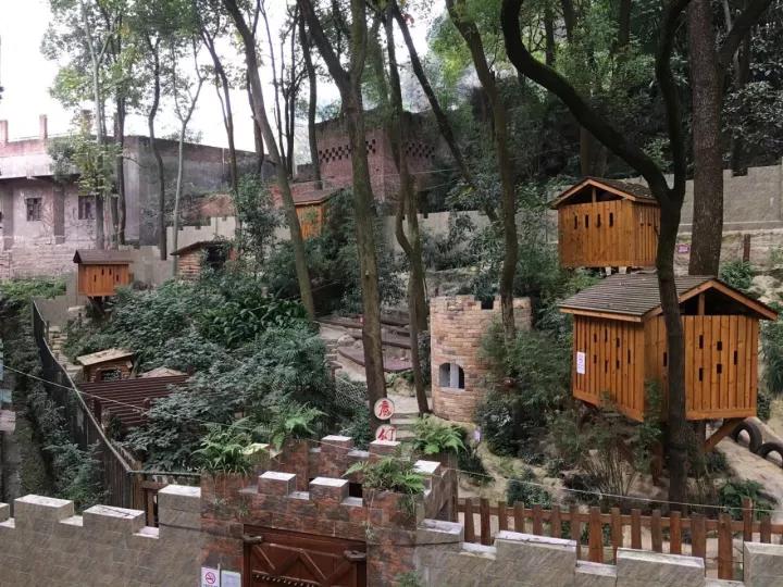 4.13重庆逐梦歌乐山上的“巴学园”探索“世界级乡村幼儿园