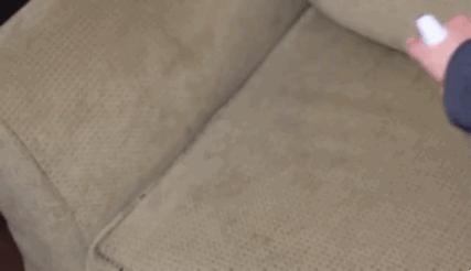 醋的生活小知识,10个关于醋的生活小妙招