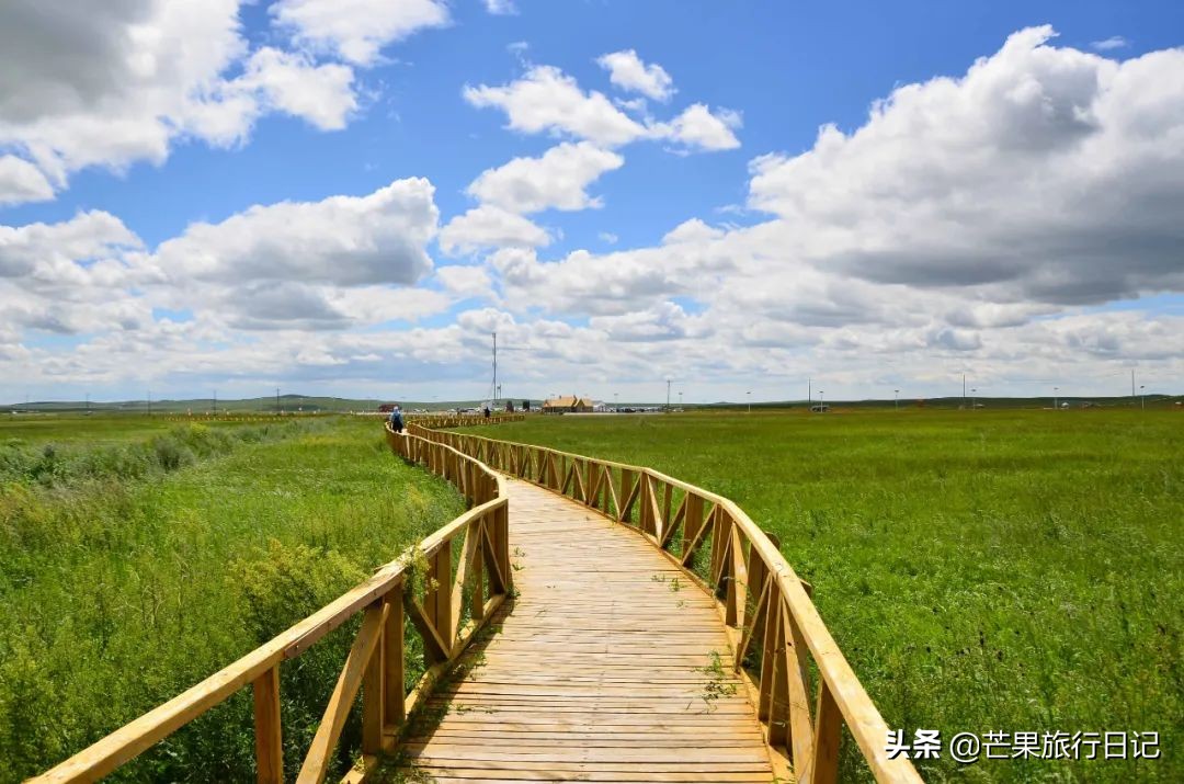 带妈妈旅游去西藏,带妈妈去内蒙